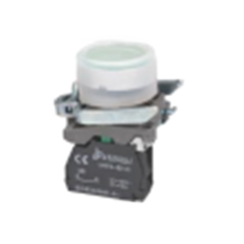 Lay4-Bp31 Push Button Switch