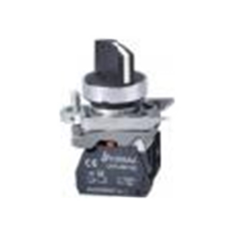 Lay4-Bd21 Selector push button switch