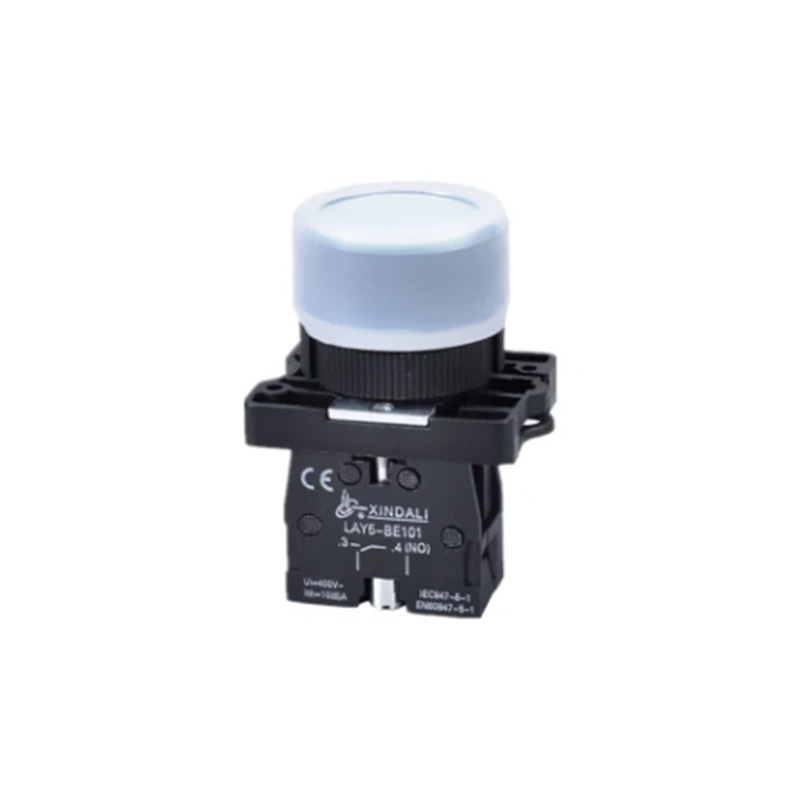 Lay5-Ep31 Push Button Switch