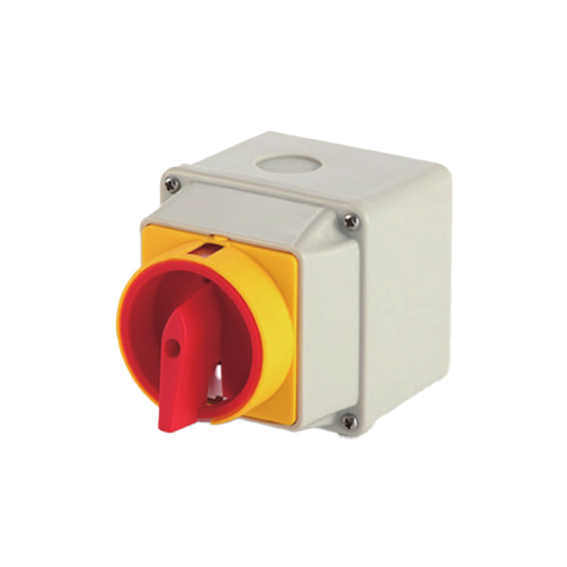 Lw26GS-63 2p Rotary Switch Box